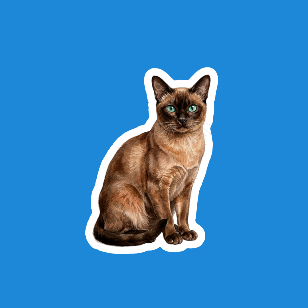 Tonkinese Natural Mink Cat Watercolor Vinyl Sticker – Designs by Mysh