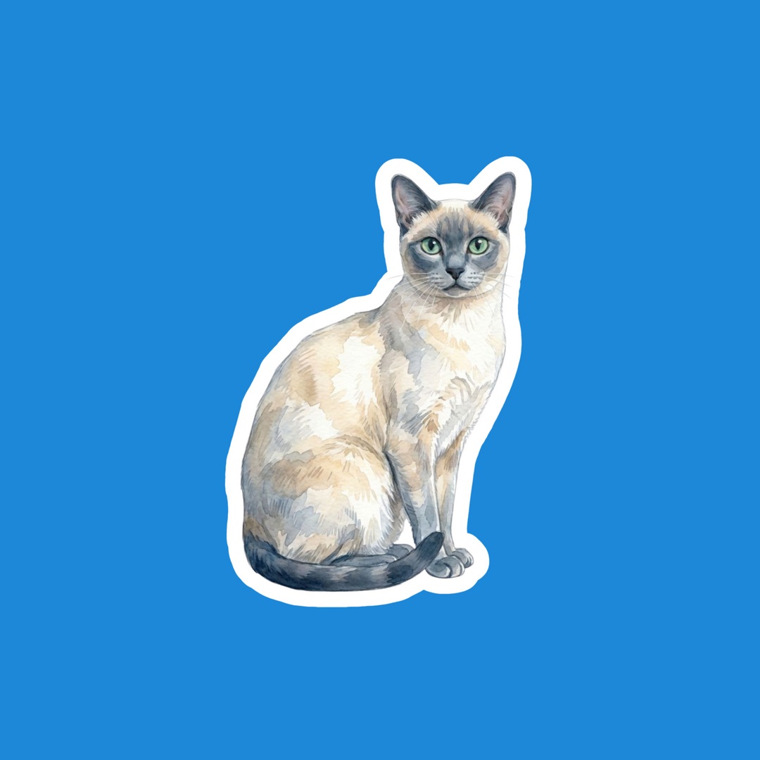 Tonkinese Blue Mink Cat Watercolor Fridge Magnet – Designs by Mysh