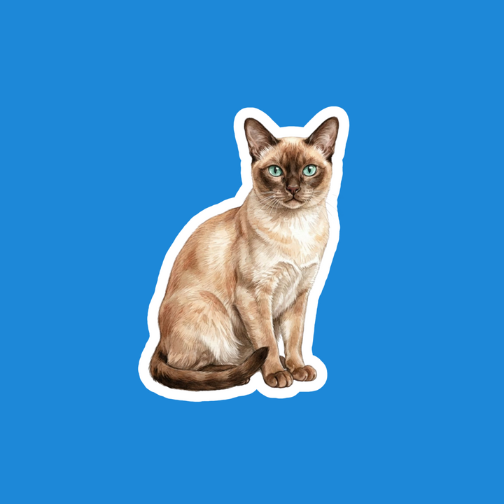 Tonkinese Champagne Mink Cat Watercolor Vinyl Sticker – Designs by Mysh