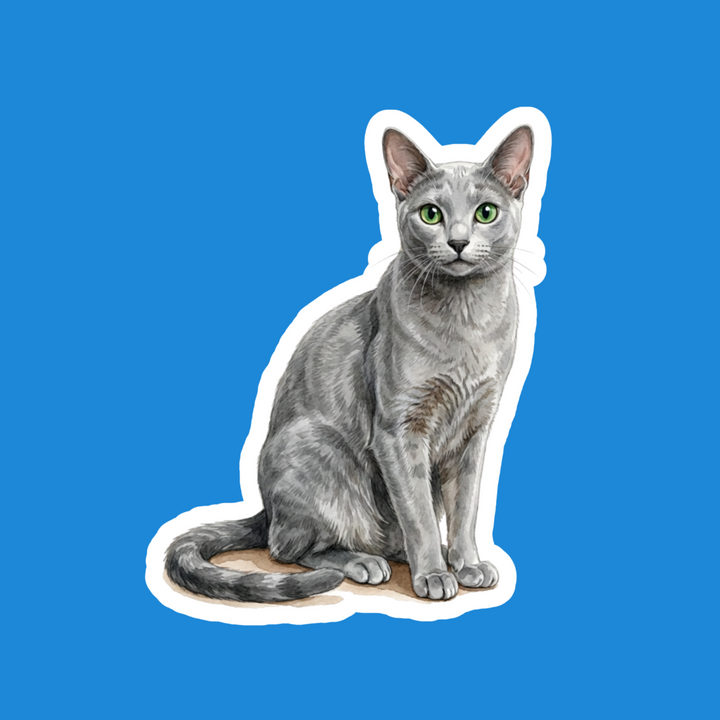 Russian Blue Silver Tips Watercolor Artwork – Designs by Mysh