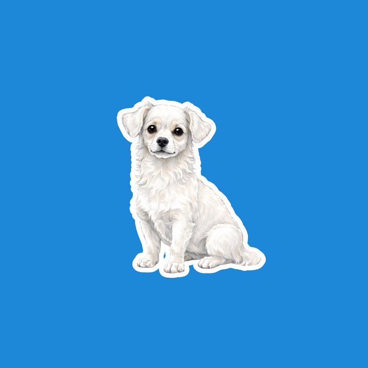 White puppy sitting on a blue background