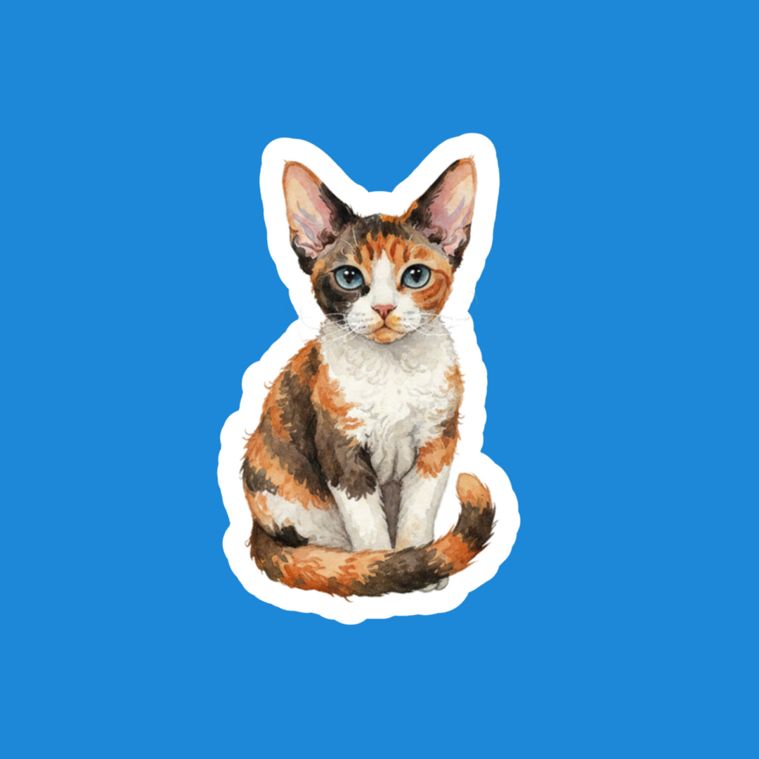 Calico cat illustration on a blue background