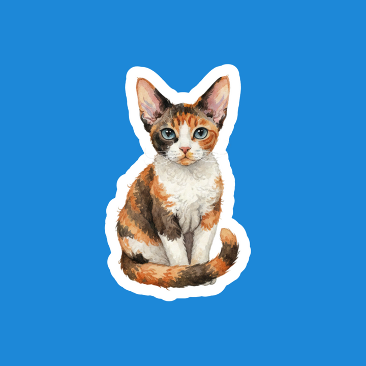 Calico cat illustration on a blue background