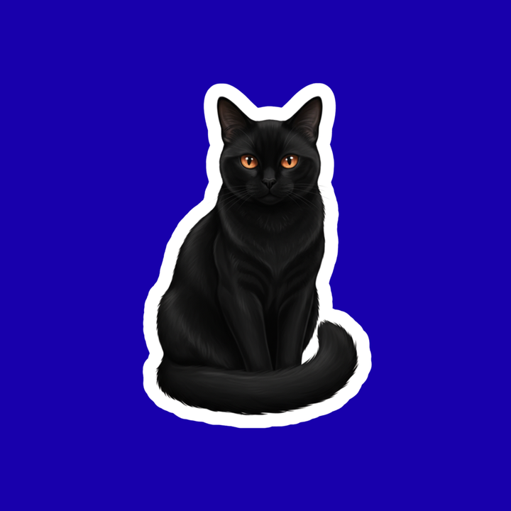 Black cat illustration on a blue background