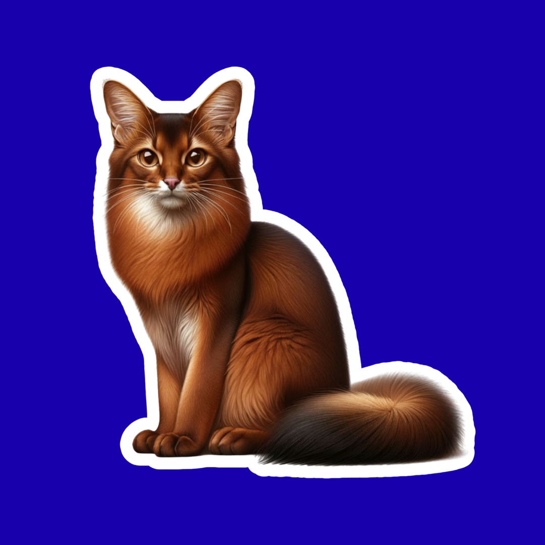 Illustration of a brown cat on a blue background