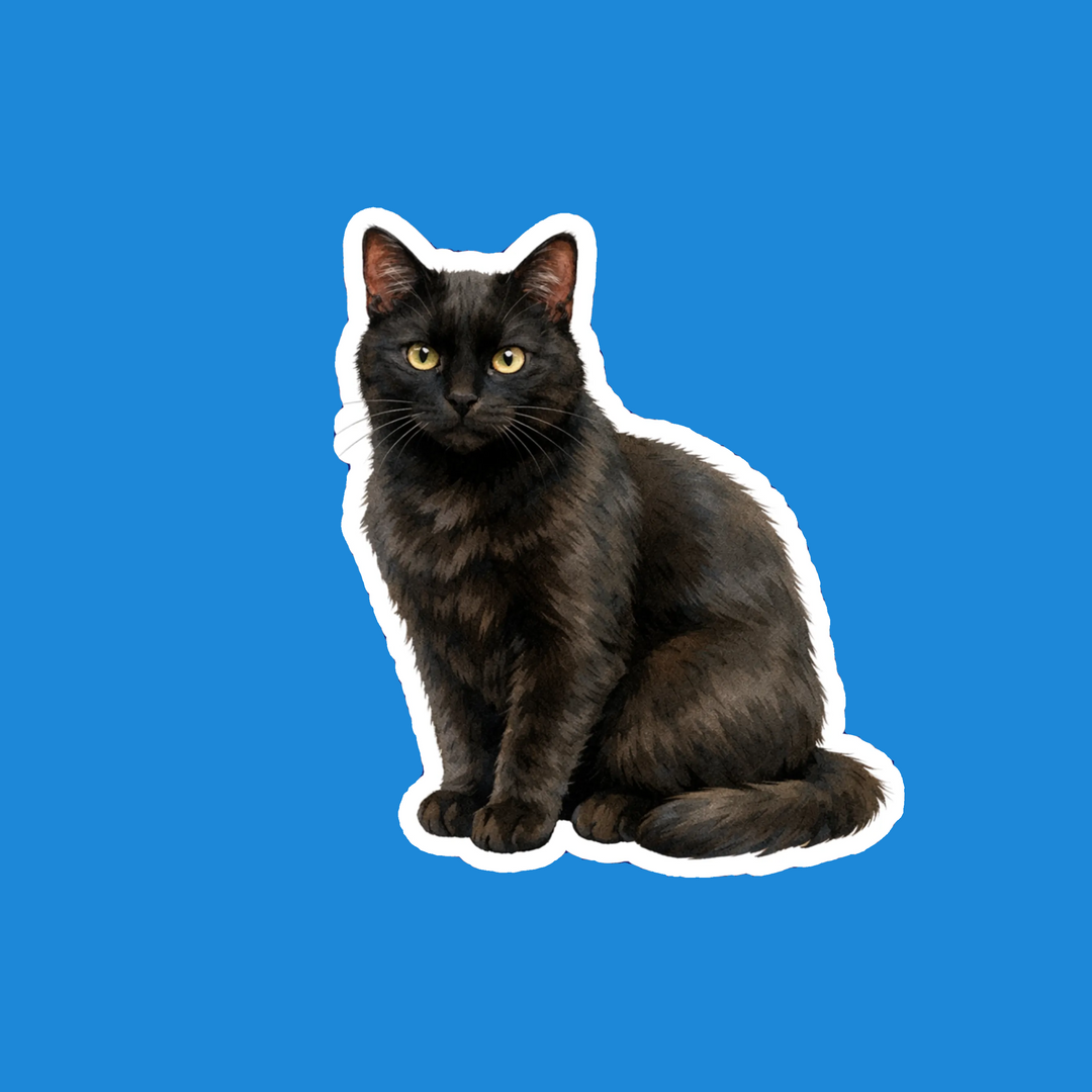 Black cat on a blue background