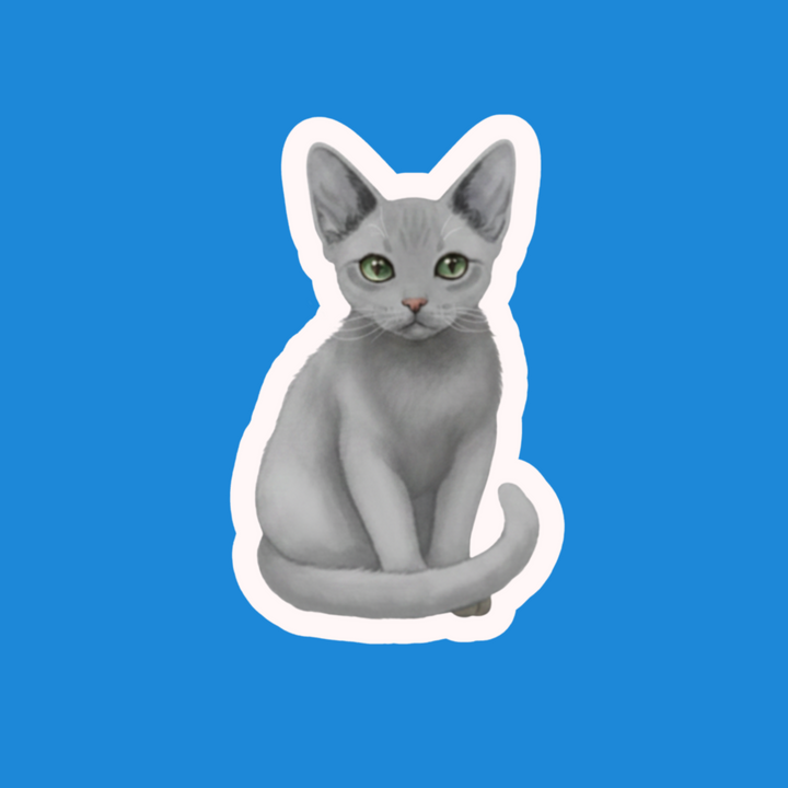 Gray cat illustration on a blue background