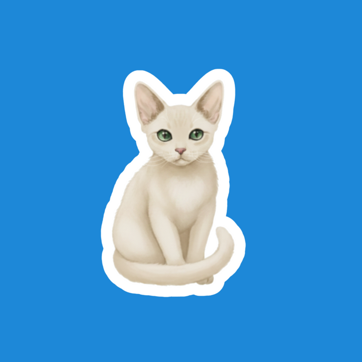 Devon Rex Solid Cream Cat Watercolor Fridge Magnet – Designs by Mysh