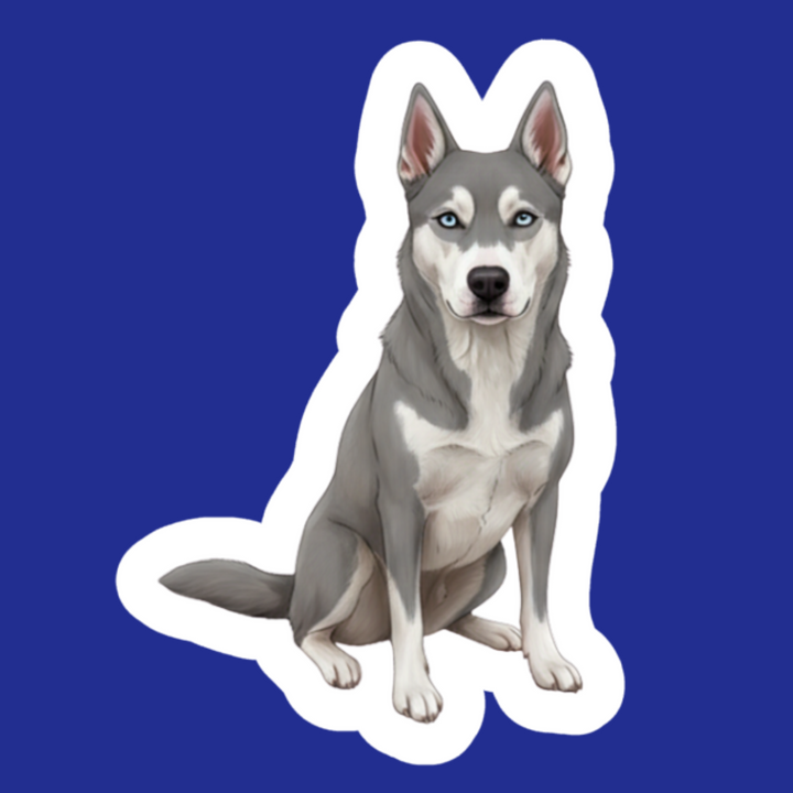 Illustration of a husky dog on a blue background
