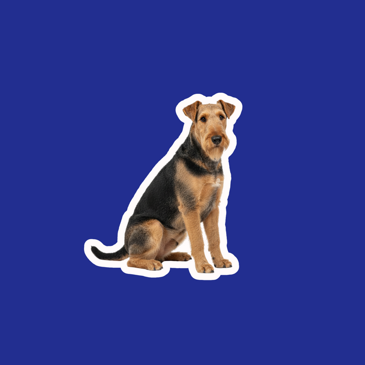 Stylized illustration of a dog on a blue background