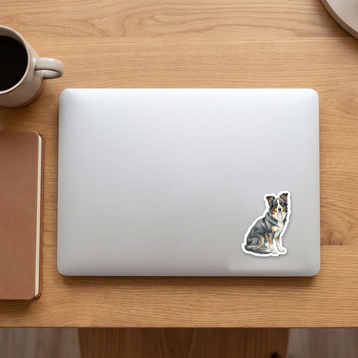 Border Collie Blue watercolor vinyl sticker on a laptop lid – Designs by Mysh
