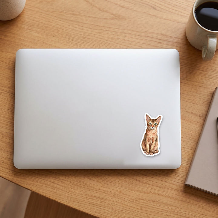 Abyssinian Fawn watercolor vinyl sticker on a laptop lid – Designs by Mysh