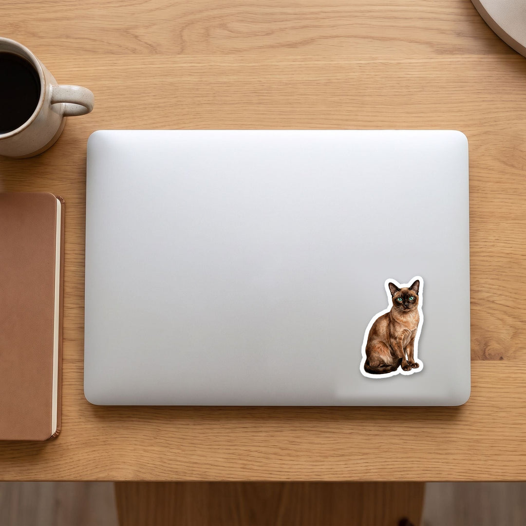 Tonkinese Natural Mink watercolor vinyl sticker on a laptop lid – Designs by Mysh