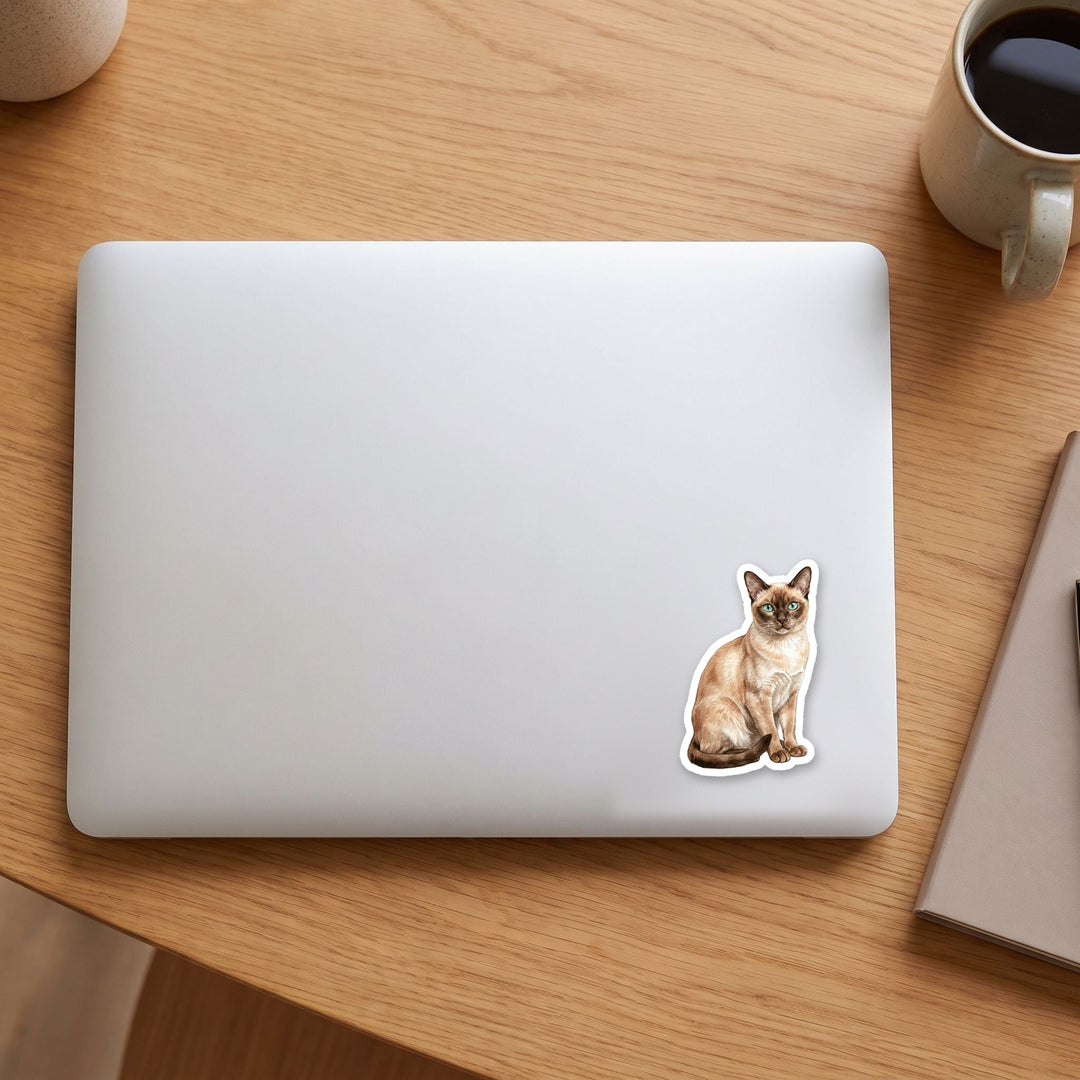 Tonkinese Champagne Mink watercolor vinyl sticker on a laptop lid – Designs by Mysh