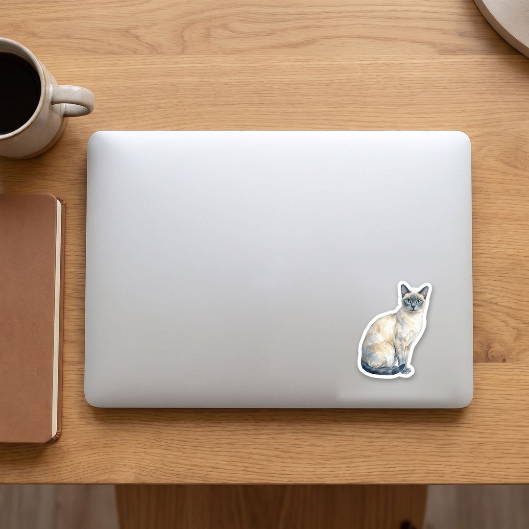 Tonkinese Blue Mink watercolor vinyl sticker on a laptop lid – Designs by Mysh