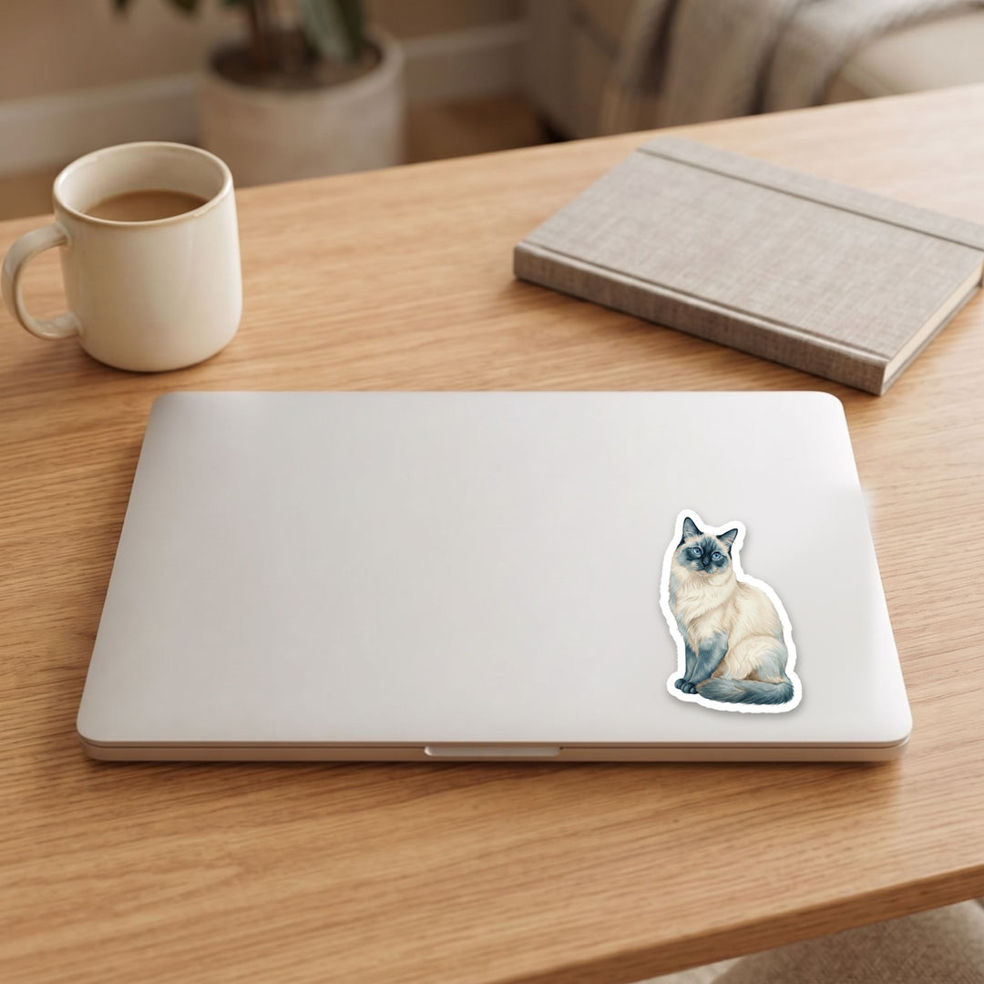 Birman Blue Point watercolor vinyl sticker on a laptop lid – Designs by Mysh
