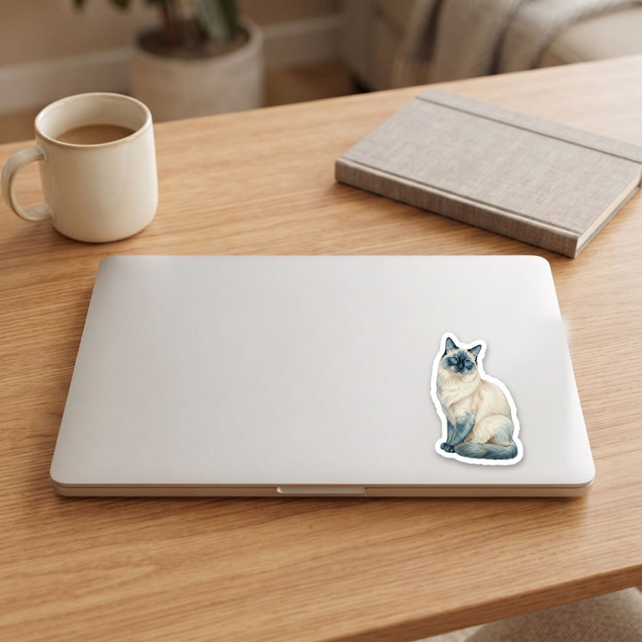 Birman Blue Point watercolor vinyl sticker on a laptop lid – Designs by Mysh