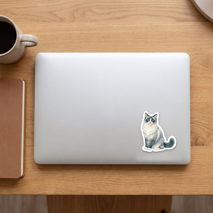 Ragdoll Blue Bicolor watercolor vinyl sticker on a laptop lid – Designs by Mysh