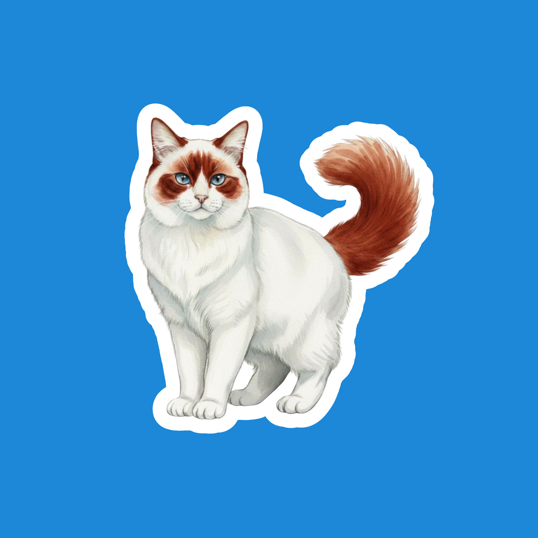 Turkish Van Red and White Watercolor Artwork – Designs by Mysh